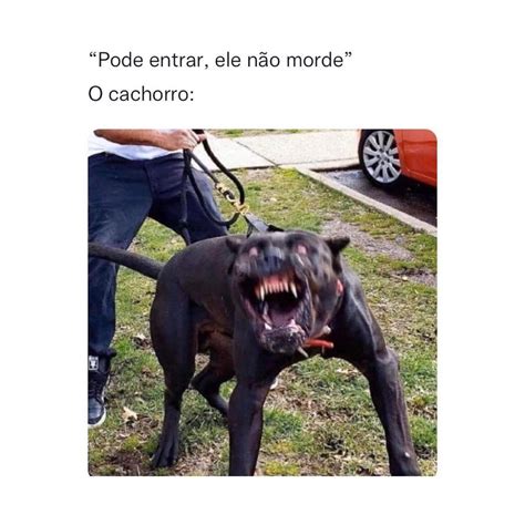 Pode Entrar Ele N O Morde O Cachorro Memes