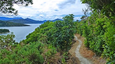 Picton Trails Mountain Bike Trail in Picton, South Island - Directions ...