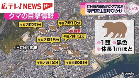 廿日市市の市街地でクマの目撃情報が相次ぐ 警察や市が警戒 発見には至らず 広島（2024年5月28日掲載）｜広テレ！news Nnn