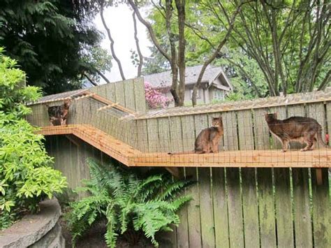 Awesome Large DIY backyard Cat Enclosure | Cuckoo4Design