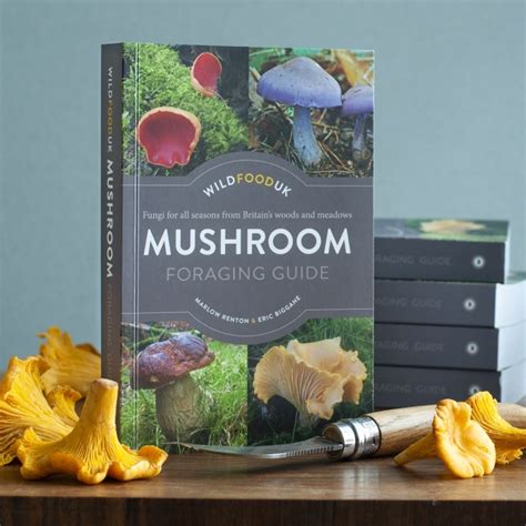 Mushroom Foraging Guide - Foraging