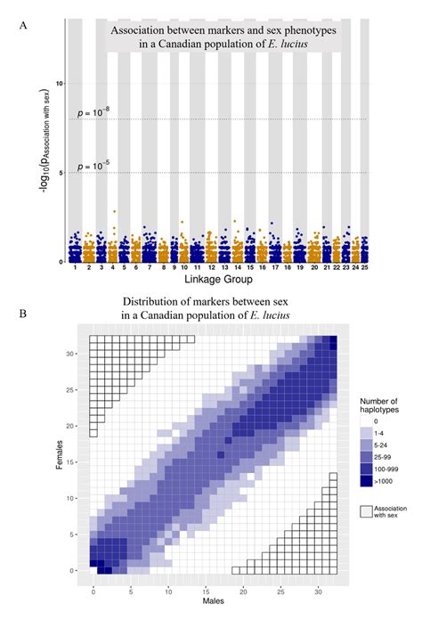 Marker Association With Sex Phenotypes In A North American Population