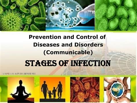 Solution Stages Of Infection Studypool