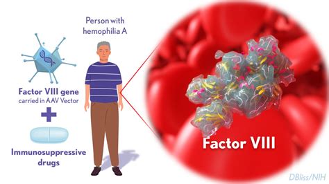 Factor VIII – NIH Director's Blog