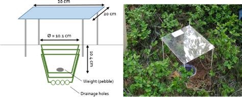 Pitfall traps: Schematic of trap design and dimensions (left), and... | Download Scientific Diagram