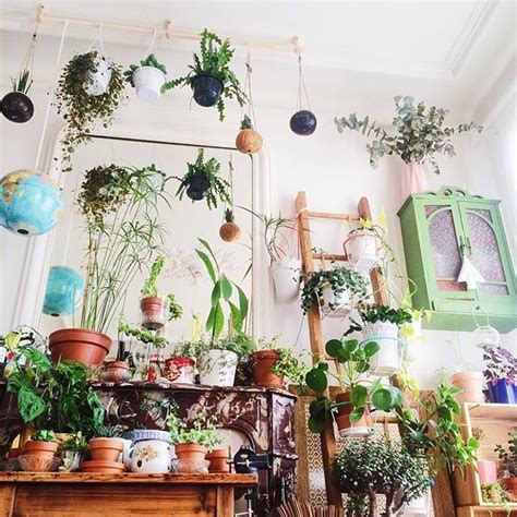 Urban Jungle Bloggers: A Green Oasis for Your Home