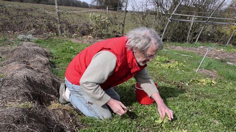 Le Potager Du Paresseux Perfectionner La Paresse 22 Mars 2019