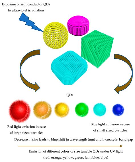 Molecules Free Full Text Superior Properties And Biomedical Applications Of Microorganism