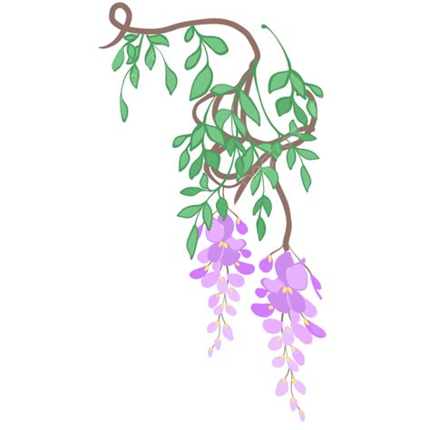 Wisteria Drawing