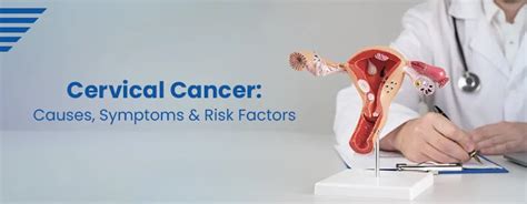 Know About Cervical Cancer Its Causes Symptoms Risk Factors