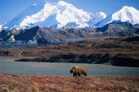Secrets Of Alaskas Denali National Park Tundra Landscapes Touristsecrets