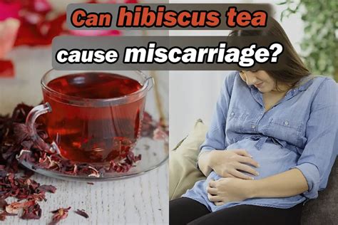 Can Pregnant Women Drink Hibiscus Tea Hipregnancy