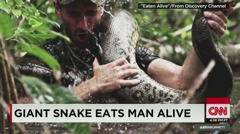 ‘eaten Alive Leaves Viewers Hungry For More Cnn