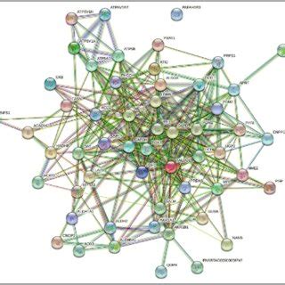 Protein interaction analyzed by STRING database of proteins present ...