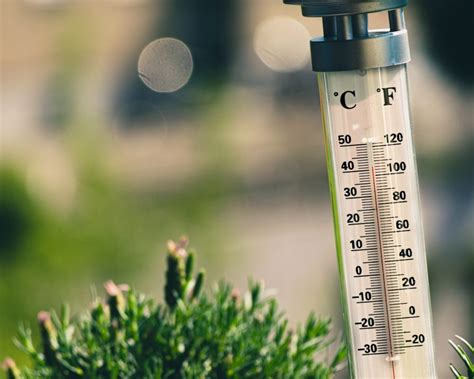 extremely hot weather  pregnancy poses health risks