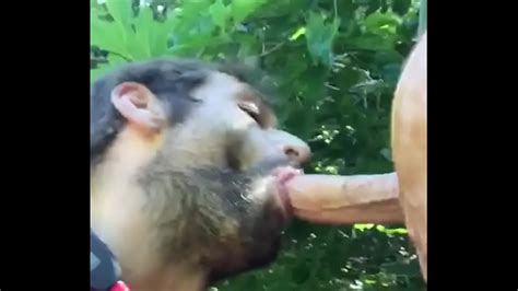 Chupando Una Polla Al Azar De Craigslist XVIDEOS