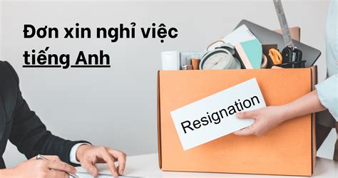 M U N Xin Ngh Vi C Ti Ng Anh Resignation Letter Cake