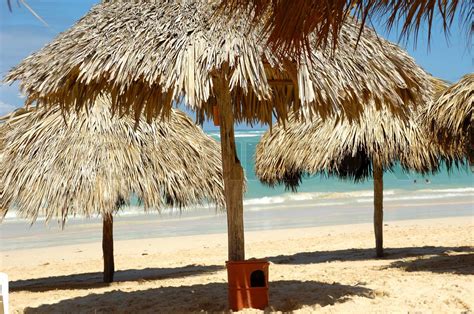 Parasols on beach | Stock image | Colourbox