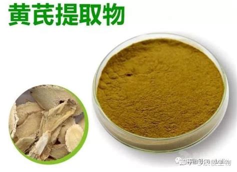 辰骏生物黄芪多糖黄芪多糖的用途 知乎