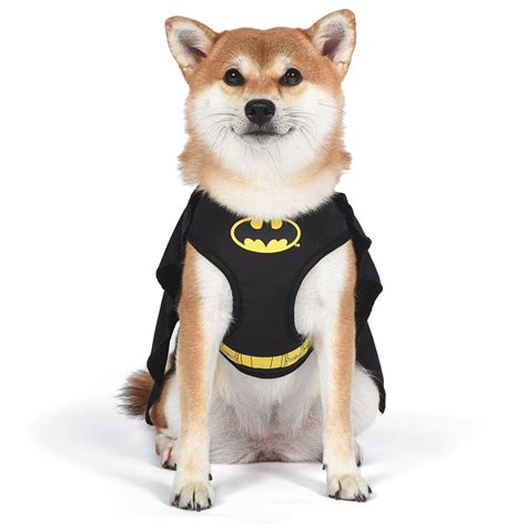 Top 71 Imagen Perro Batman Abzlocalmx