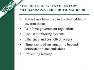 Lessons From Agricultural Commodity Supply Chain Interventions And