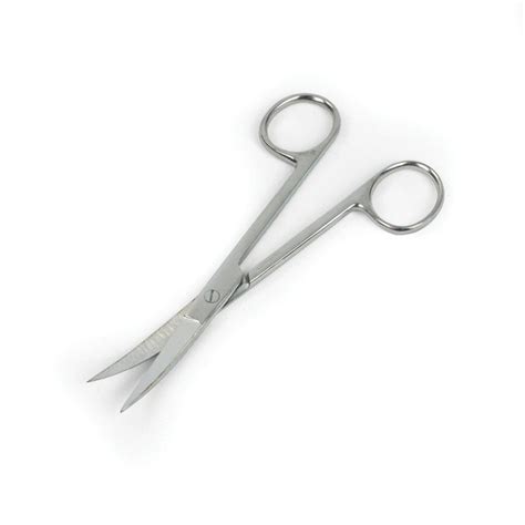 Surgical Dissection Scissors For Biology And Life Science