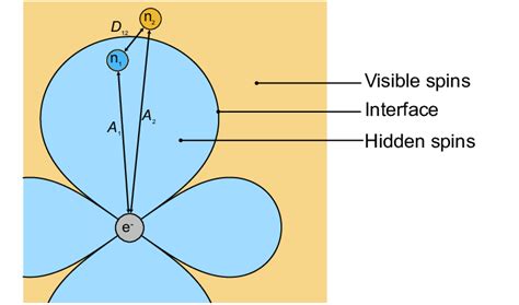 Schematic Representation Of The Hidden And Visible Nuclear Spins