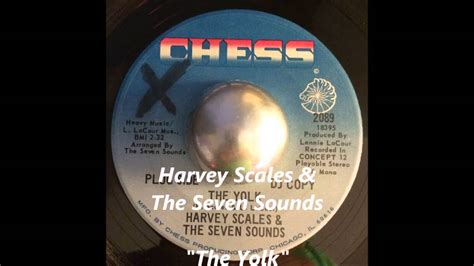 Harvey Scales And The Seven Sounds The Yolk Youtube