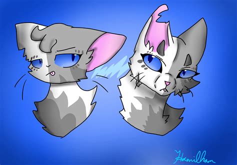 Ivypool doesn't like Ivypool : r/WarriorCats