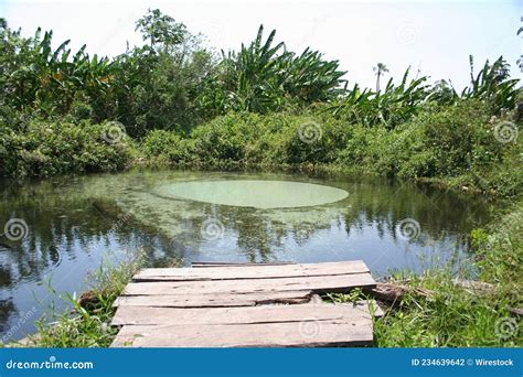 Natural Pool Known As Fervedouro in Jalapao National Park, Tocantins ...