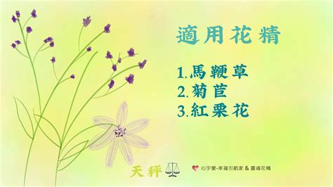 【靈魂花精vs月亮星座 天秤座】心宇愛 幸福引航家 Ilikeradioasia