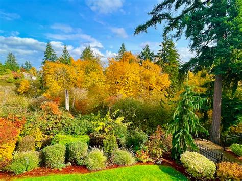 HAPPY VALLEY, OREGON WEATHER: NOVEMBER 2023 – Happy Valley, Oregon Weather