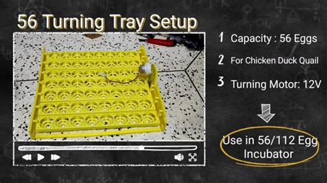 How To Setup 56 Eggs Turning Tray Dc 12v Motor 2 5r M For Manual And Automatic 56 112