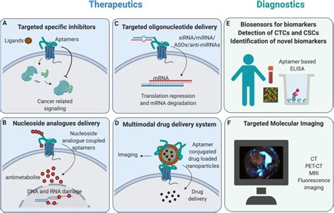 Aptamers A Novel Targeted Theranostic Platform For Pancreatic Ductal