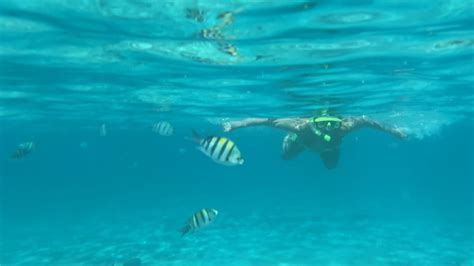 Rate My Naked Diving Experience 10 Pics XHamster