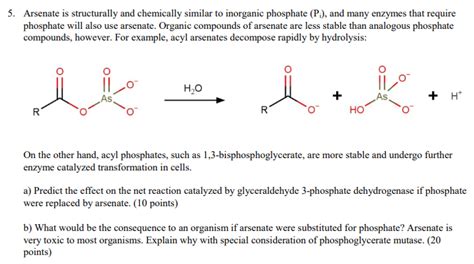 Solved 5. Arsenate is structurally and chemically similar to | Chegg.com