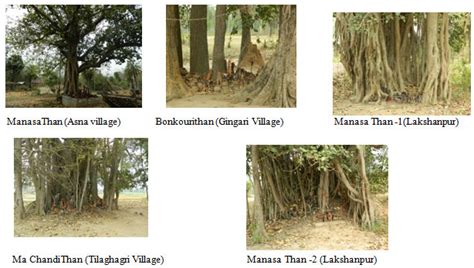 Sacred Groves And Honey Bee Conservation In Rural Villages Of Bankura