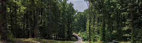 Craighead Forest Trails Loop, Arkansas - 98 Reviews, Map | AllTrails