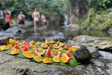 Tripadvisor Excursão de dia inteiro pela floresta tropical El Yunque