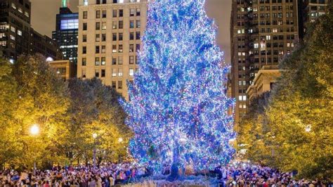 The Search Is On For Chicago’s Official Christmas Tree | Chicago News | WTTW