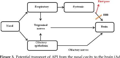 Figure 3 From Lipid Based Nanocarriers For Neurological Disorders A