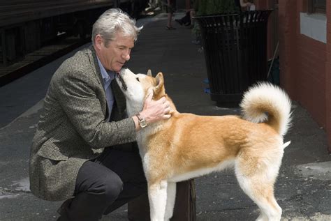 Toddlers have the most honest reaction to watching ‘Hachi: A Dog's Tale’ for the first time ...