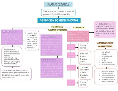 Mapa Conceptual Farmacocinetica Truik Porn Sex Picture