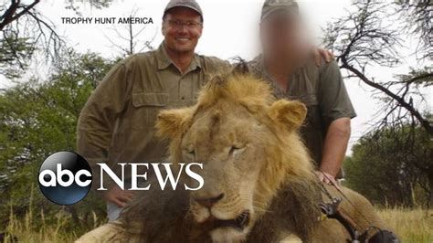 American Dentist Accused Of Killing A Famous Lion Cecil While On Safari Youtube