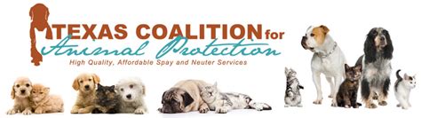 Texas Coalition For Animal Protection To Open Clinic In Allen News