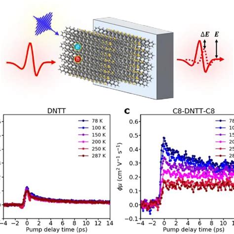 T Dependent Photoconductivity Studies By Optical Pump Thz Probe Optp