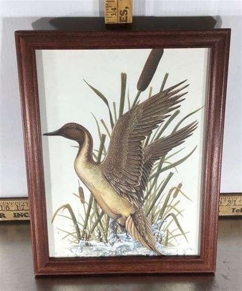 Framed Duck Picture - Sherwood Auctions