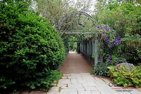 Canadian Nature Visions | Annapolis Royal Gardens