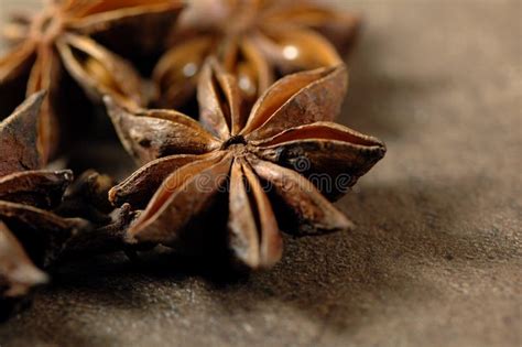 Spice Anise Stock Photo Image Of Aromatic Ingredient 26857574