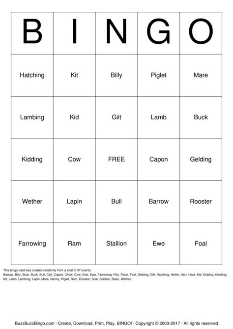 Animal Terminology Bingo Cards To Download Print And Customize